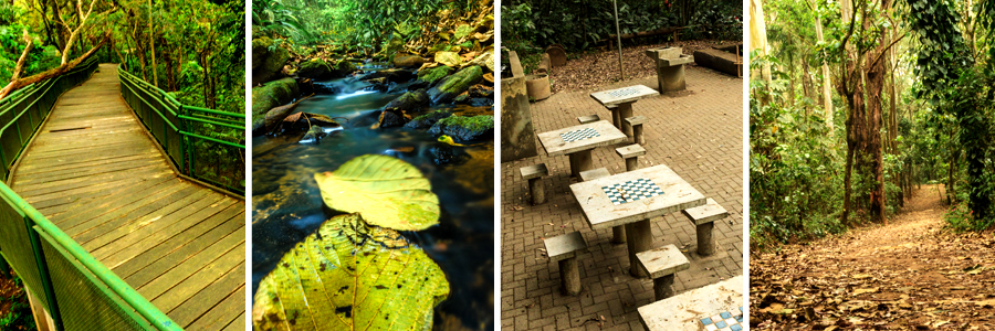 Mosaico com quatro fotografias sendo a primeira de uma ponte de madeira com grades verdes e árvores nas laterais, a segunda água passando entre as pedras com algumas folhas caidas, a terceira de mesa de xadrez com bancos de concretos, e a quarta campo cheio de árvores com folhas verdes.